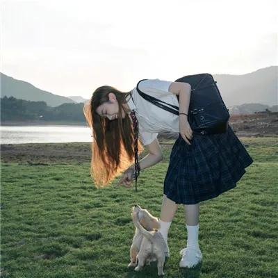 飞鼠洛基冒险记